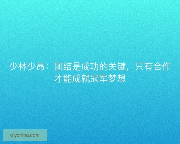 少林少昂:团结是成功的关键,只有合作才能成就冠军梦想 少林少昂:团结是成功的关键,只有合作才能成就冠军梦想